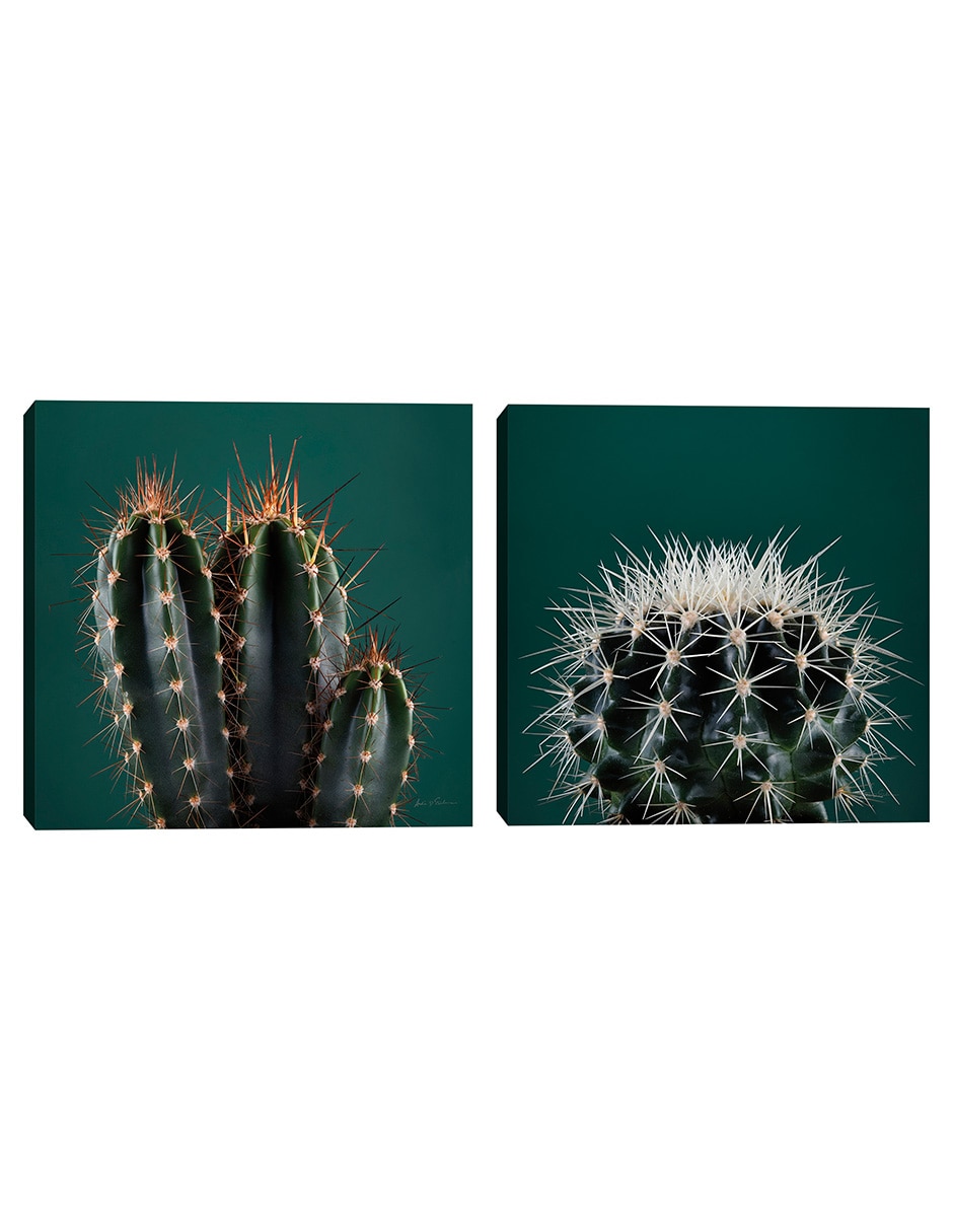 Pintura Cactus III técnica mixta