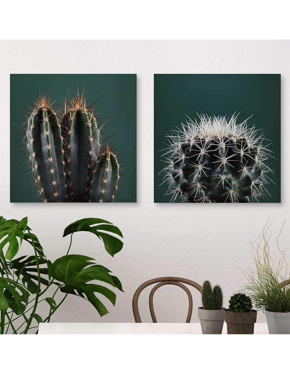 Pintura Cactus III técnica mixta 2