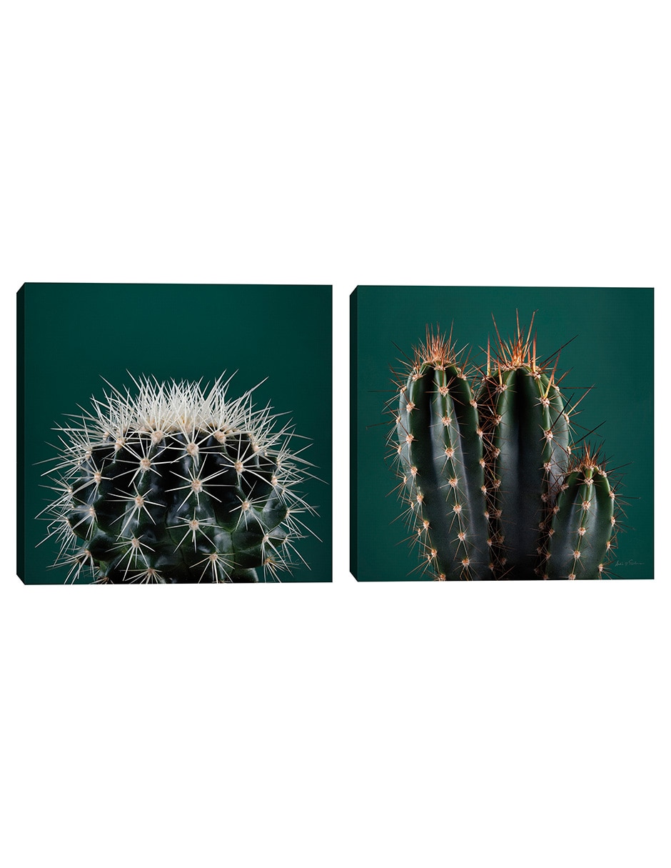 Pintura Cactus III técnica mixta Pintura Cactus III técnica mixta