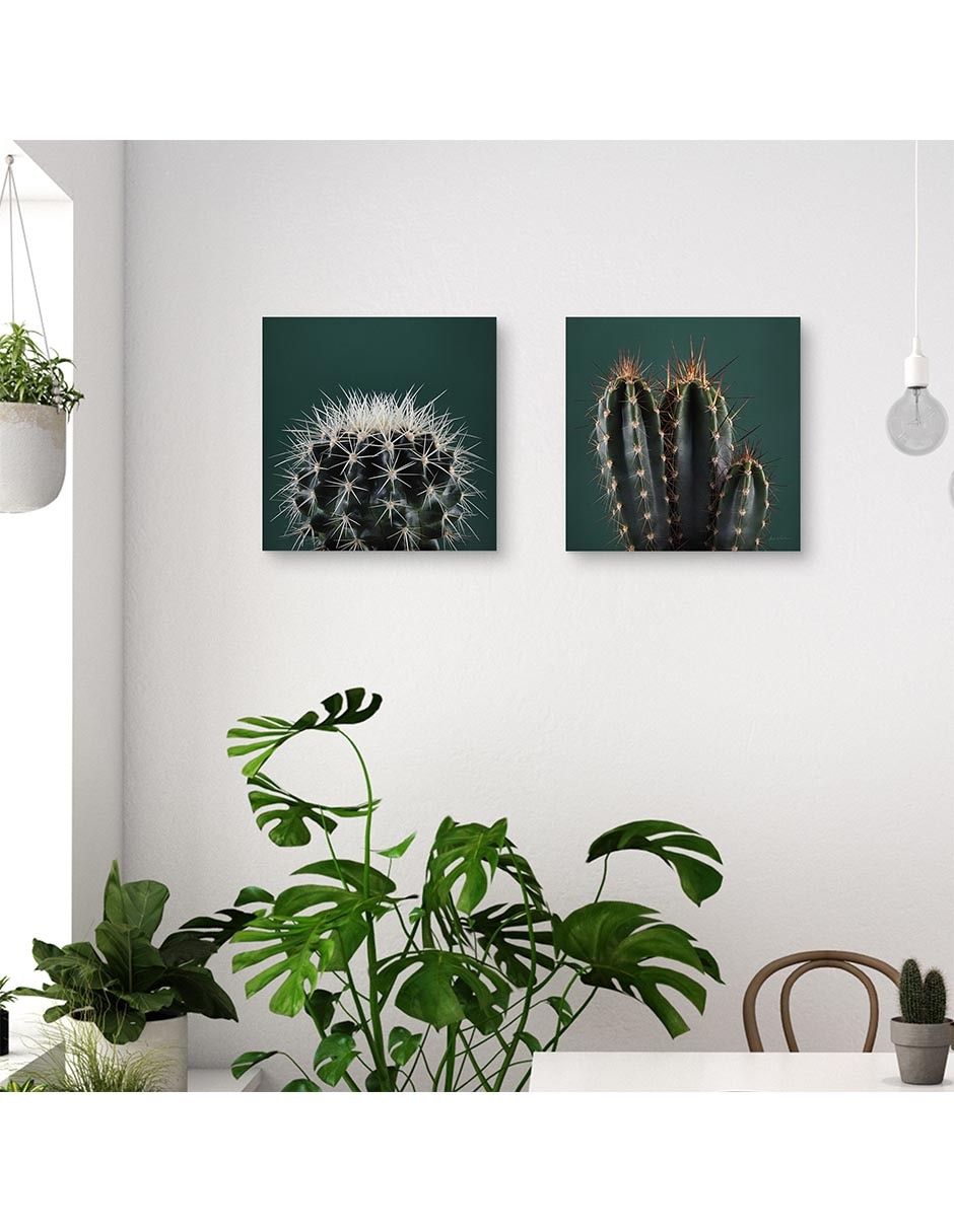 Pintura Cactus III técnica mixta 2