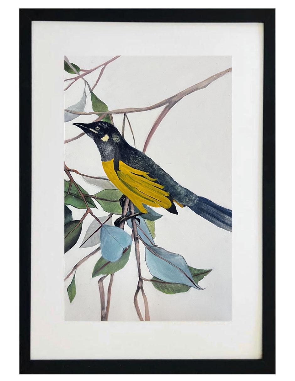 Pintura Yellow Bird técnica acrílico AnimalArt Pintura Yellow Bird técnica acrílico AnimalArt