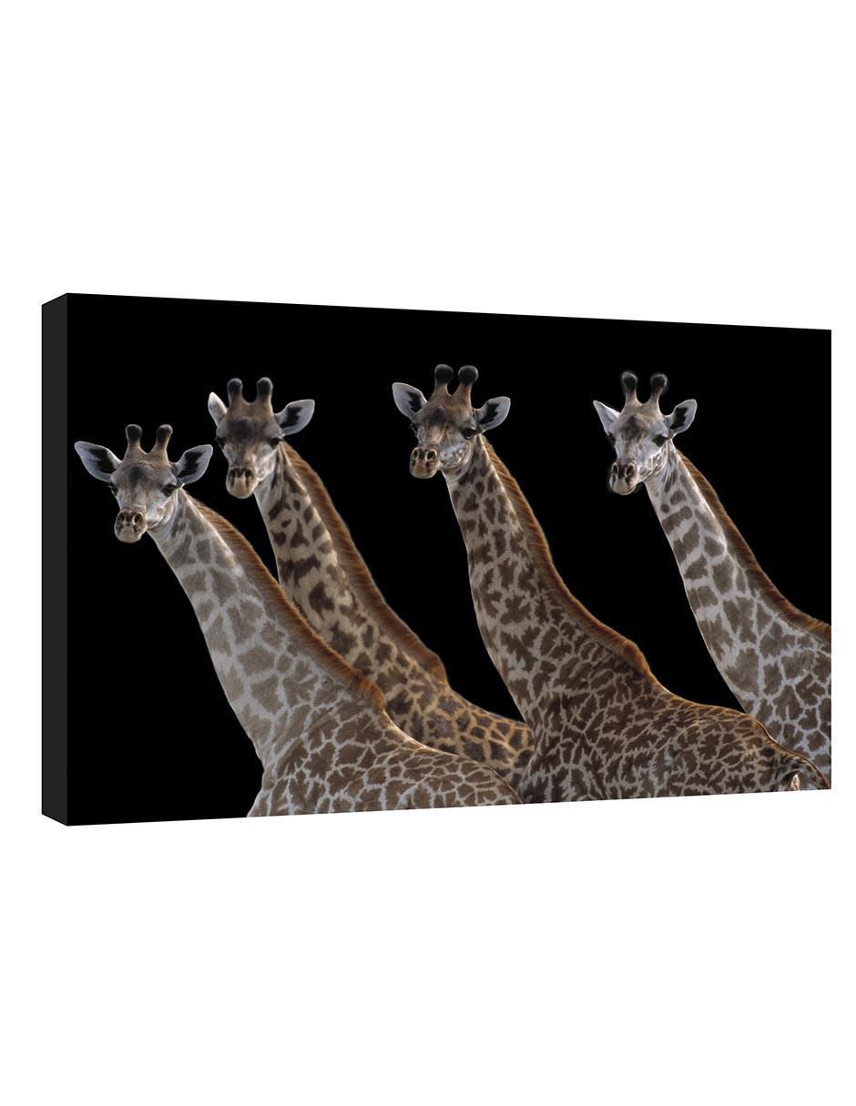 Pintura Jirafas en una fila negra técnica mixta Animales Pintura Jirafas en una fila negra técnica mixta Animales
