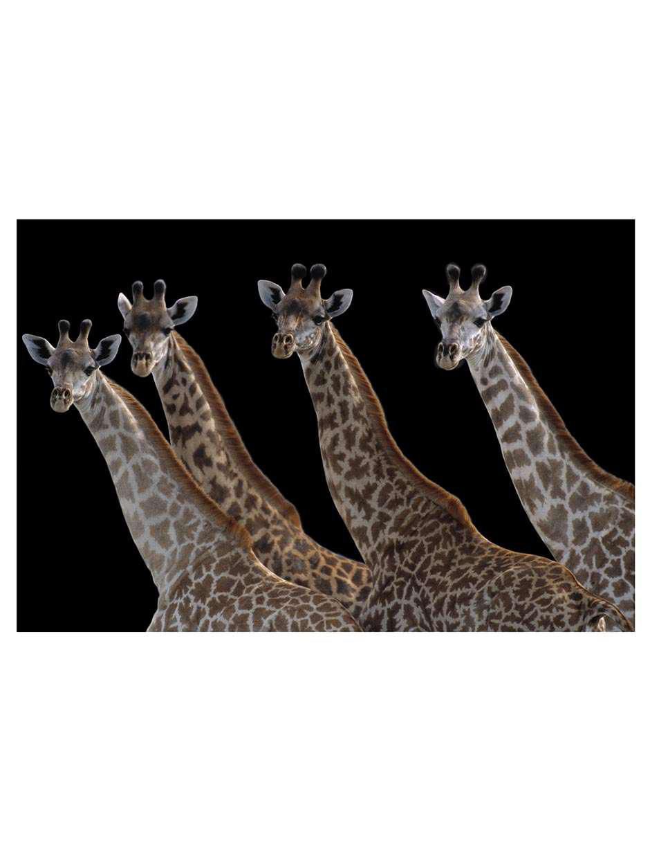 Pintura Jirafas en una fila negra técnica mixta Animales 2