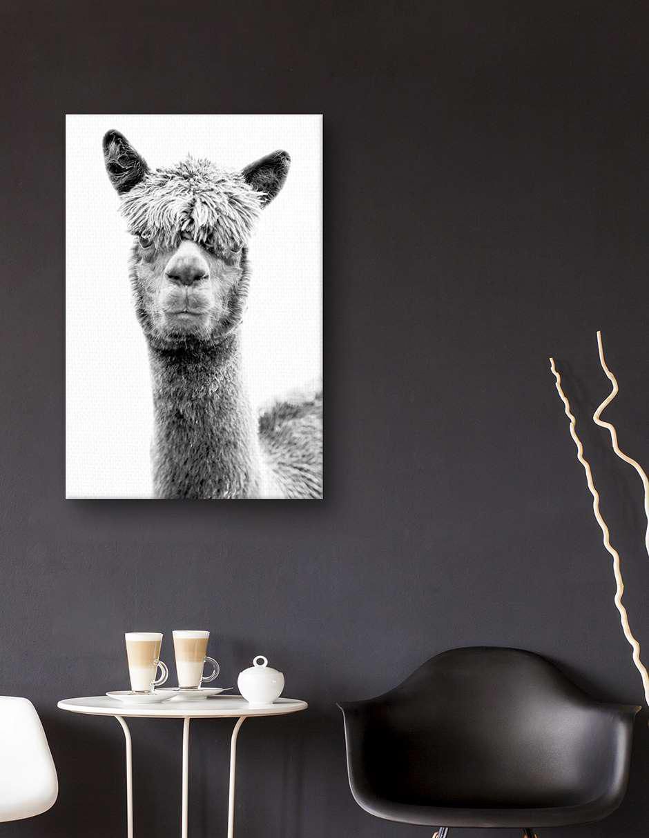 Pintura Jalisa técnica mixta Animales 4