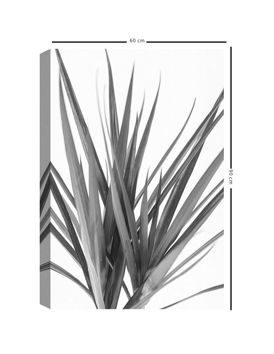 Pintura Dracaena negra técnica mixta Fotografía 5