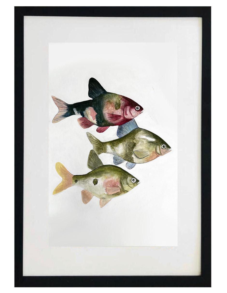 Pintura Peces en el río técnica acrílico Animalart