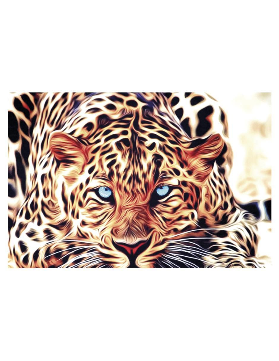 Cuadro decorativo Cuadro decorativo