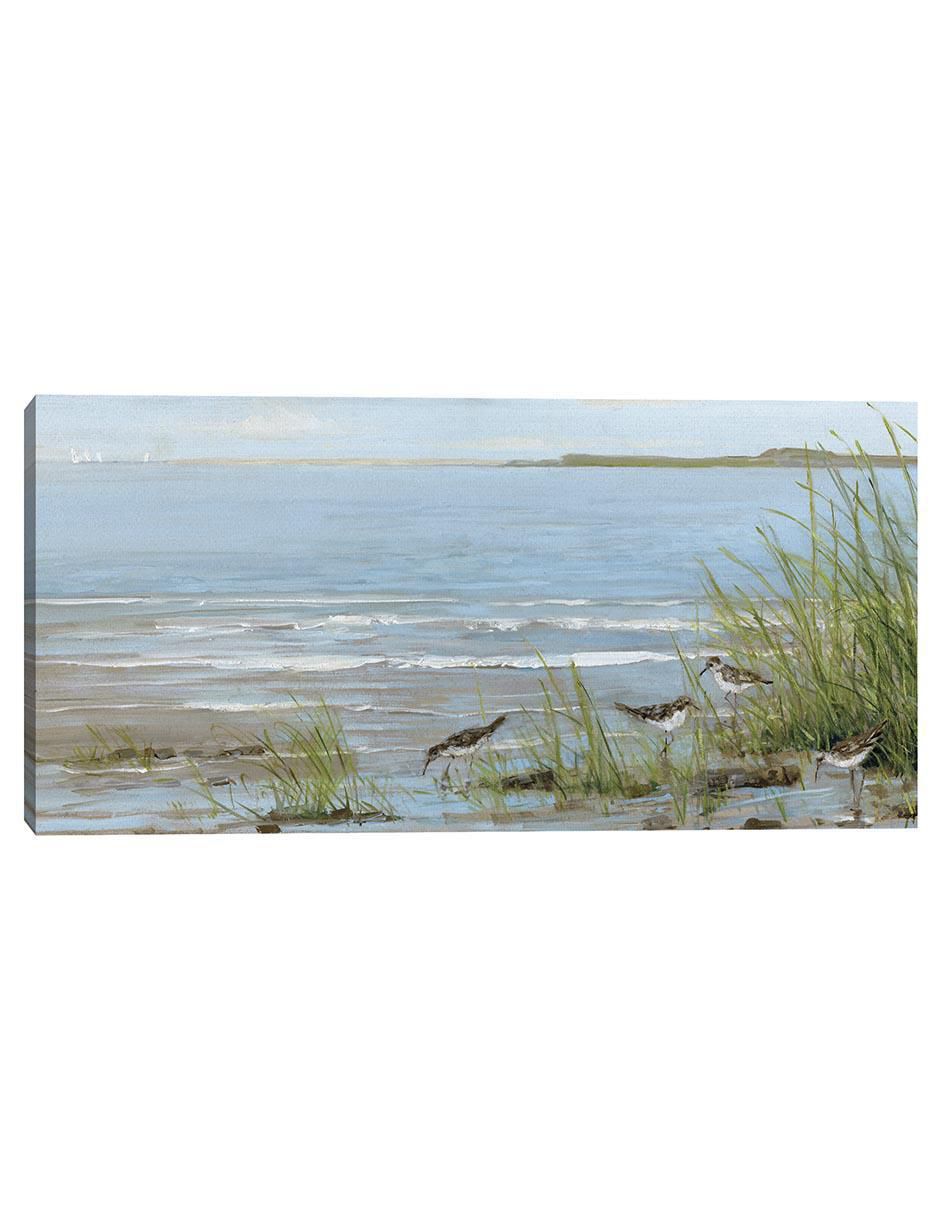 Pintura Playa Sandpiper técnica mixta Costa