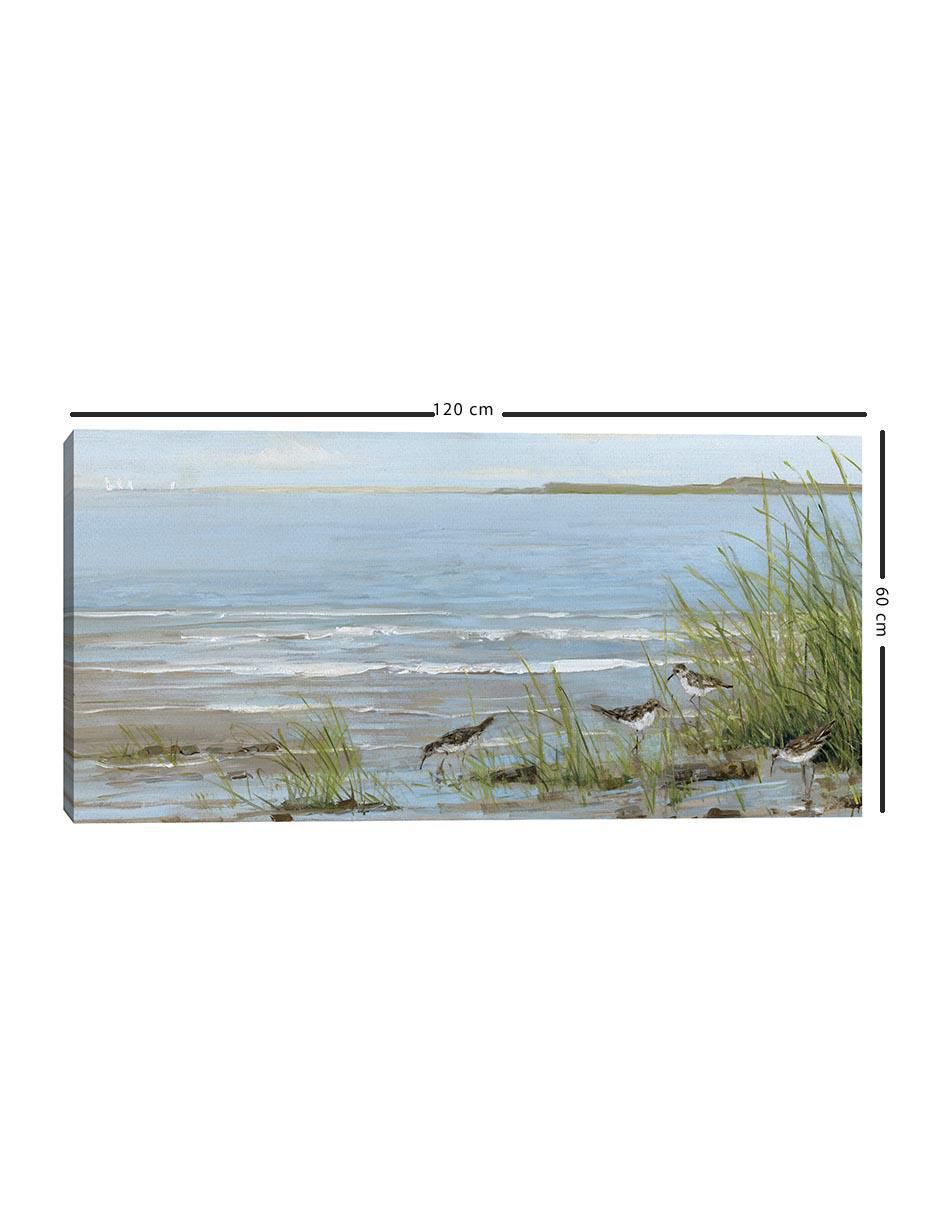 Pintura Playa Sandpiper técnica mixta Costa 5