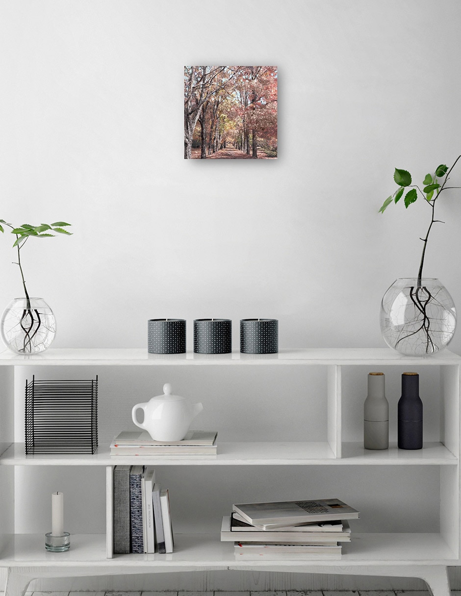 Cuadro decorativo Cordillera de otoño técnica mixta Bosques 6
