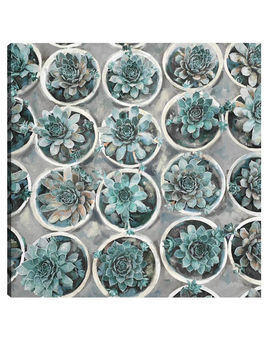 Cuadro decorativo Selecciones técnica mixta Plantas