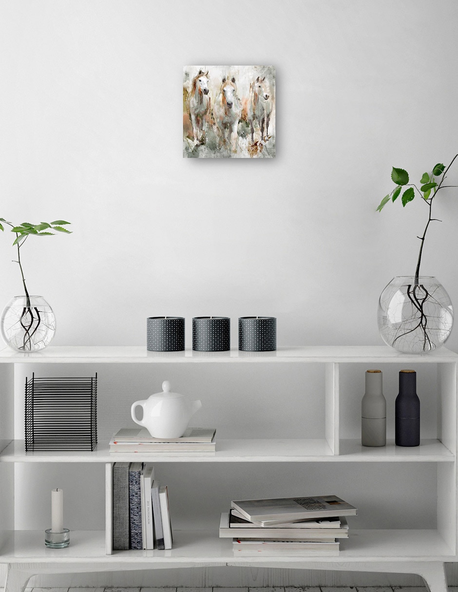 Cuadro decorativo Trifecta técnica mixta Animales Domésticos 6