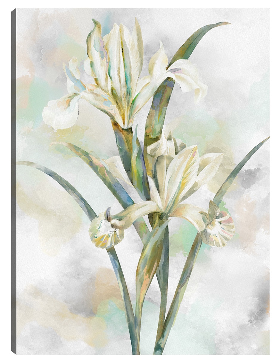 Cuadro decorativo Susurros Botánicos II técnica mixta Floral Cuadro decorativo Susurros Botánicos II técnica mixta Floral