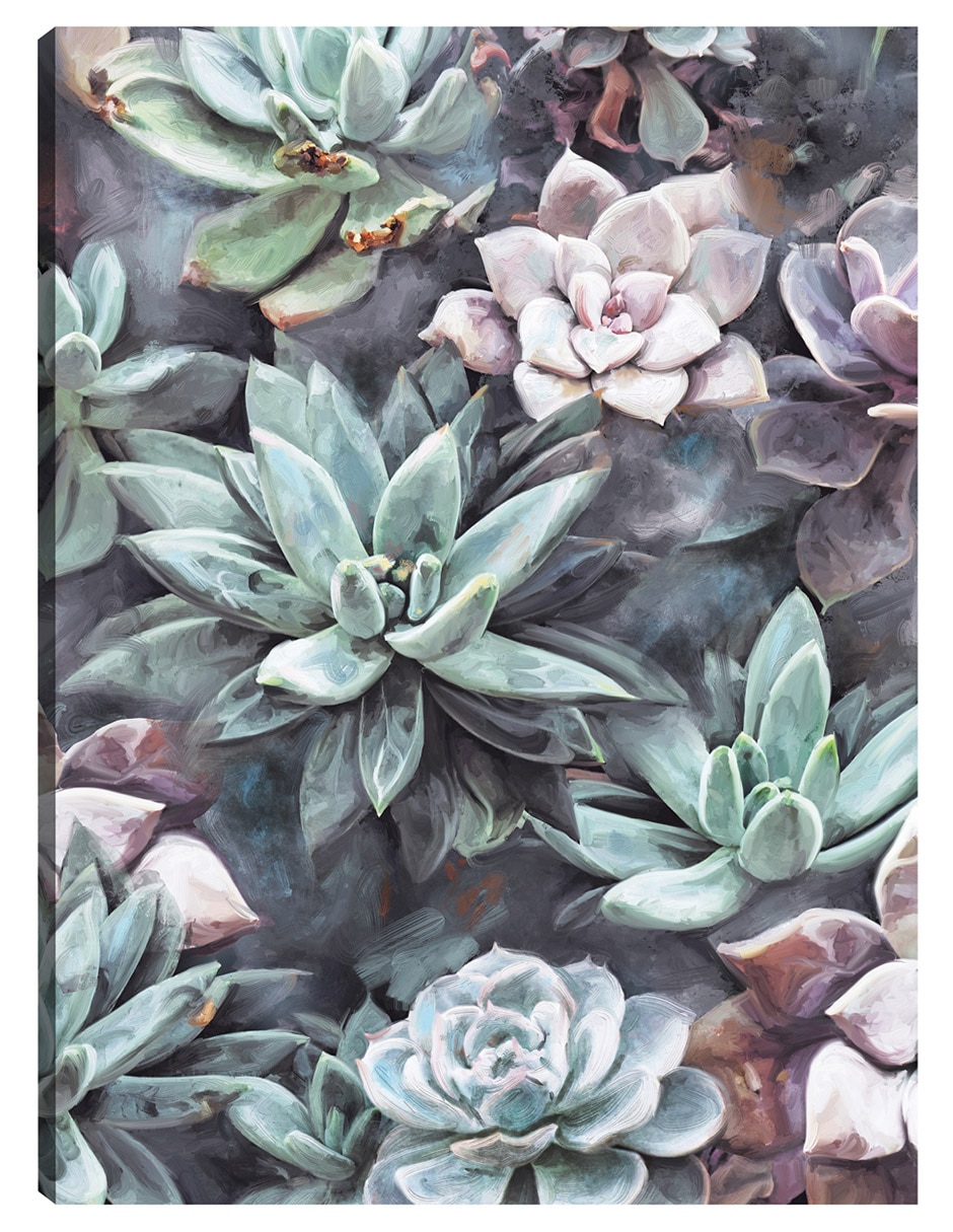 Cuadro decorativo Suculentas En Gris técnica mixta Floral