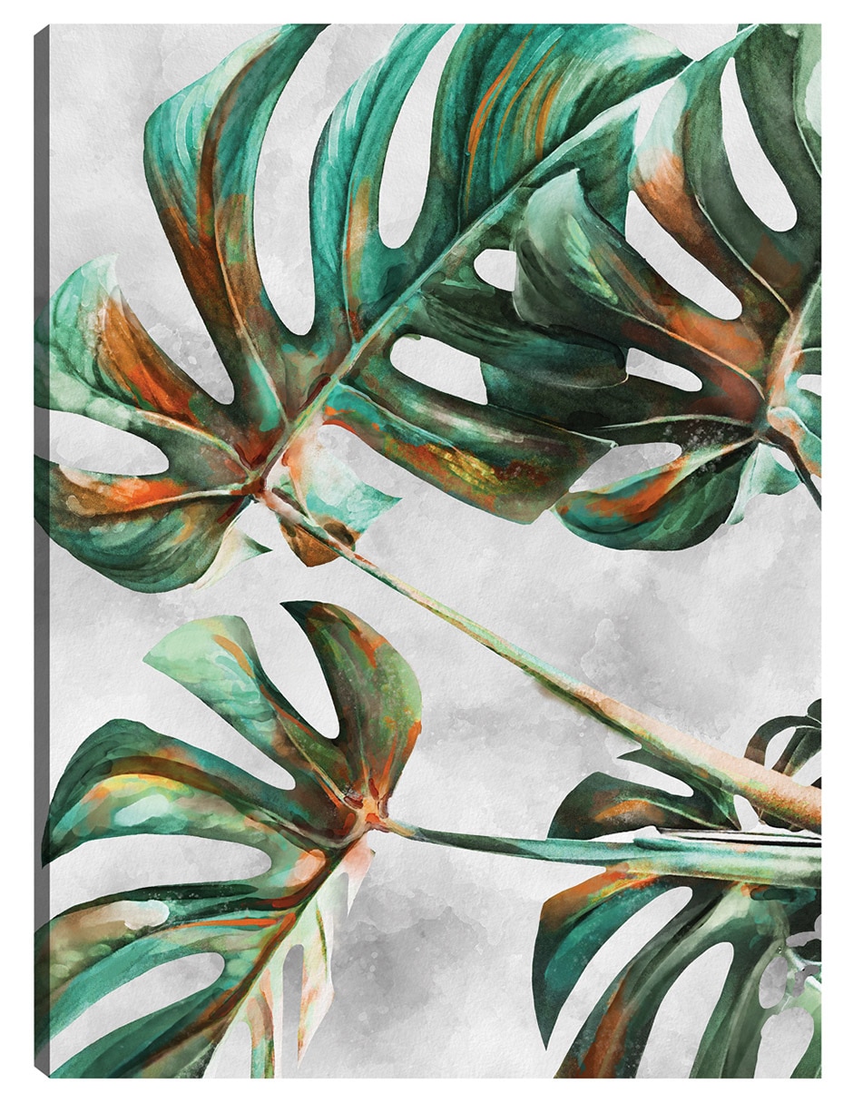 Cuadro decorativo Monstruosa técnica mixta Plantas