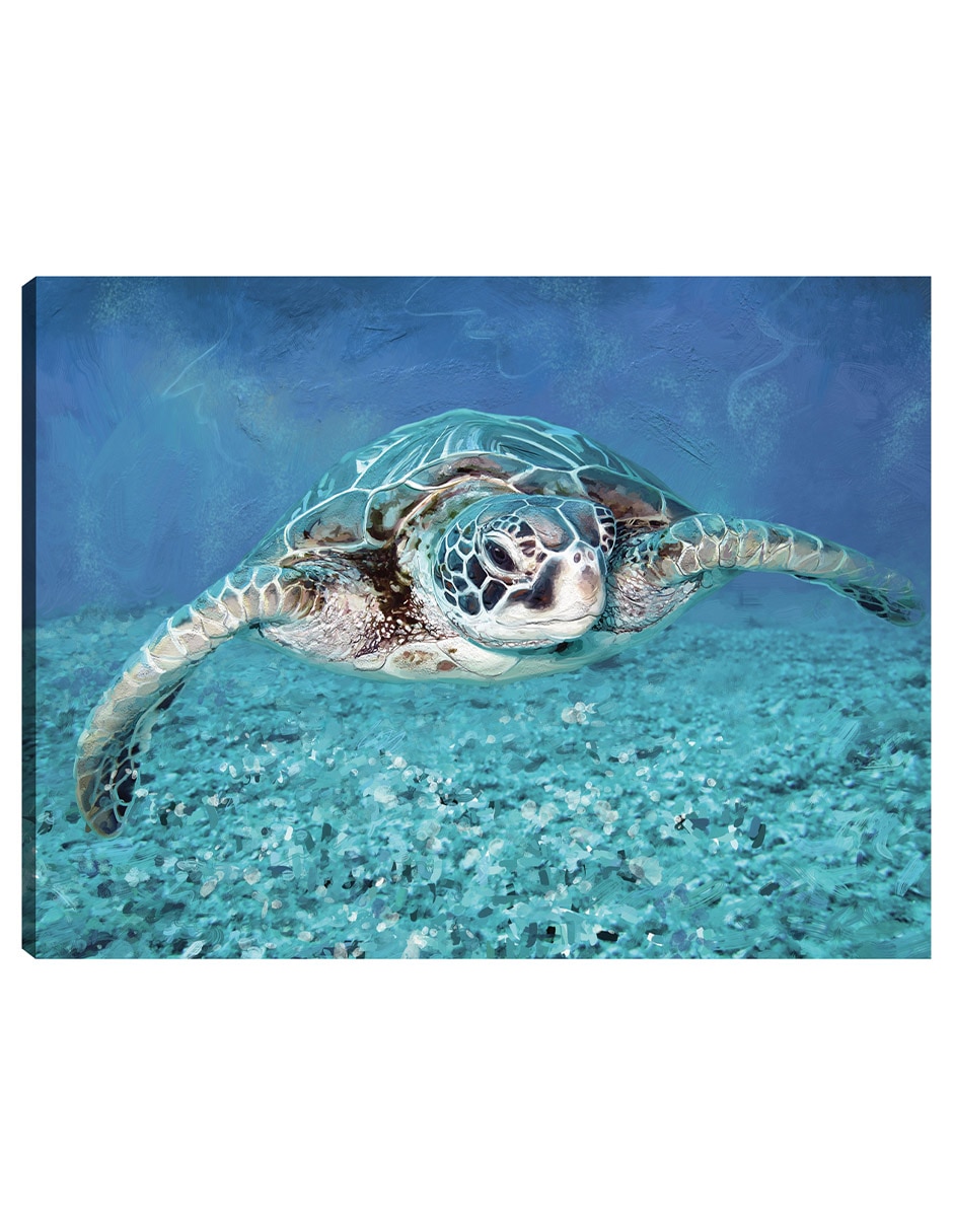 Cuadro decorativo Tortuga Marina técnica mixta Animales Marinos