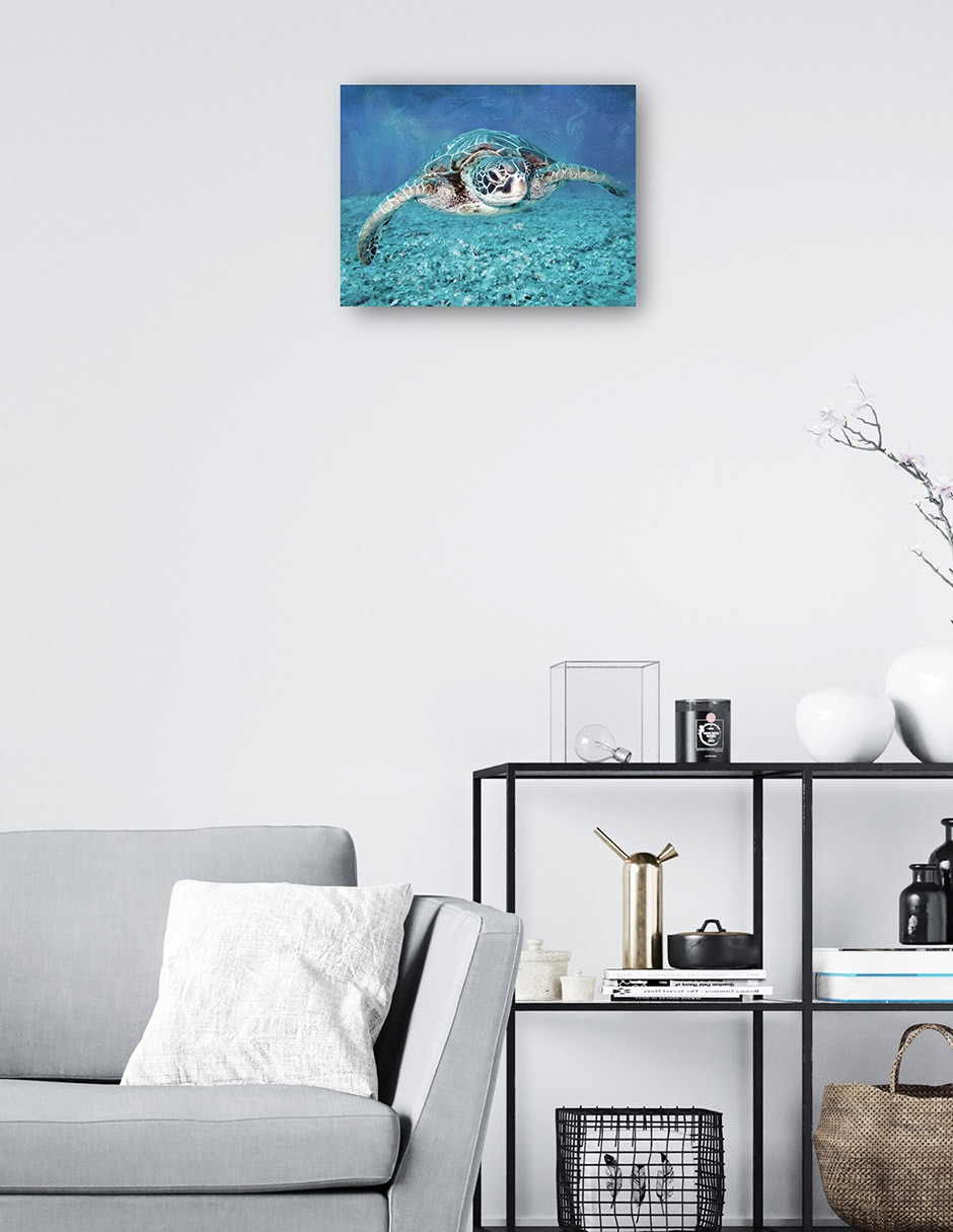 Cuadro decorativo Tortuga Marina técnica mixta Animales Marinos 2
