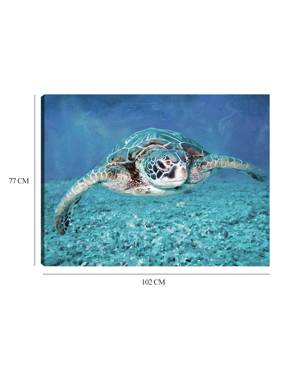 Cuadro decorativo Tortuga Marina técnica mixta Animales Marinos 9