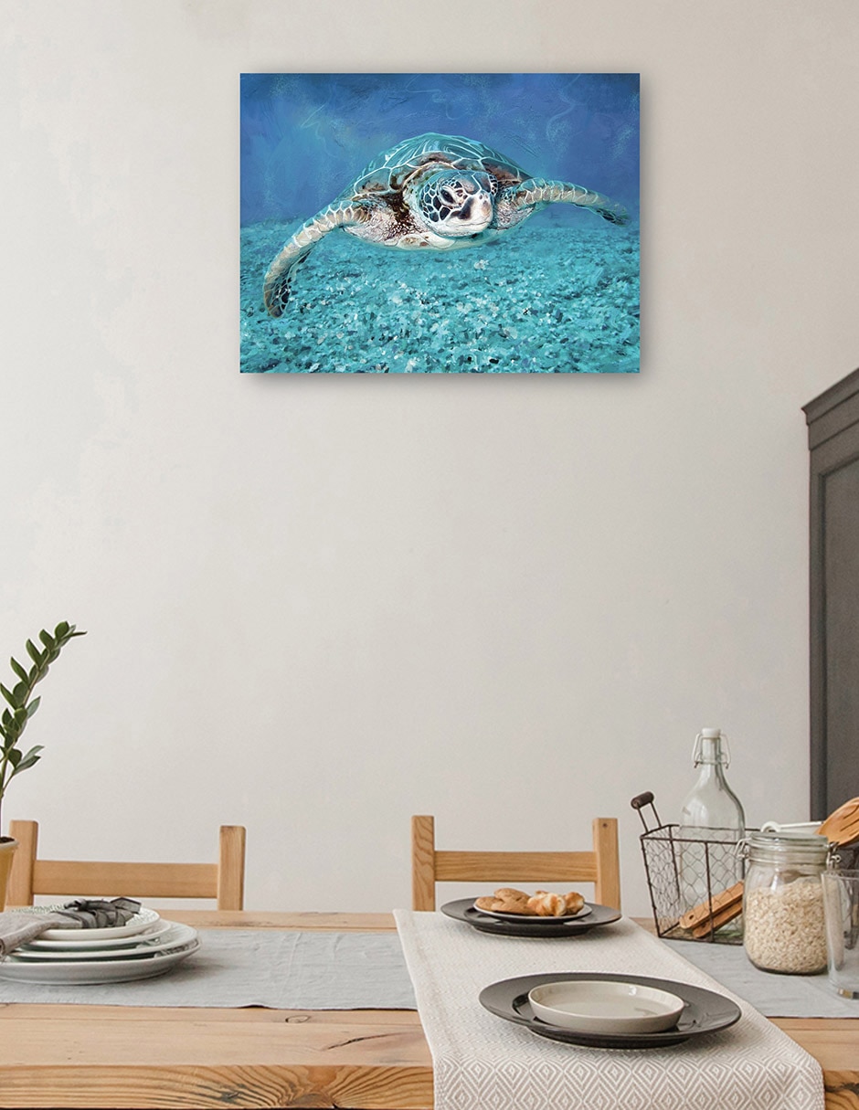Cuadro decorativo Tortuga Marina técnica mixta Animales Marinos 4
