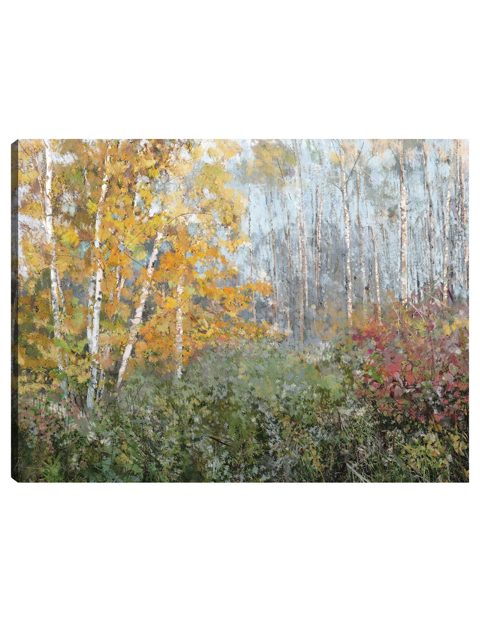 Cuadro decorativo Rueda de Color técnica mixta Bosques