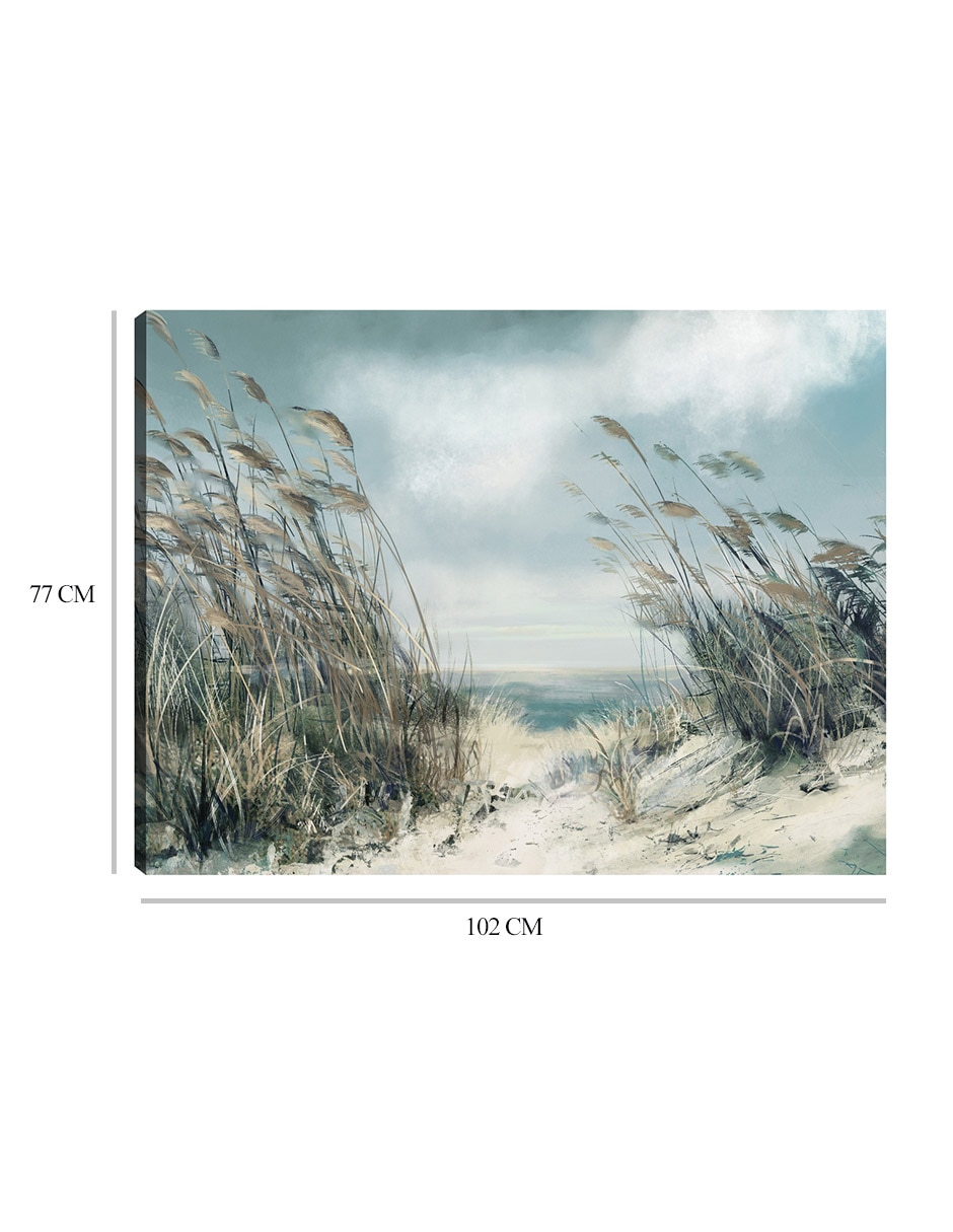 Cuadro decorativo Hierbas De Dunas Blandas técnica mixta Playas 9