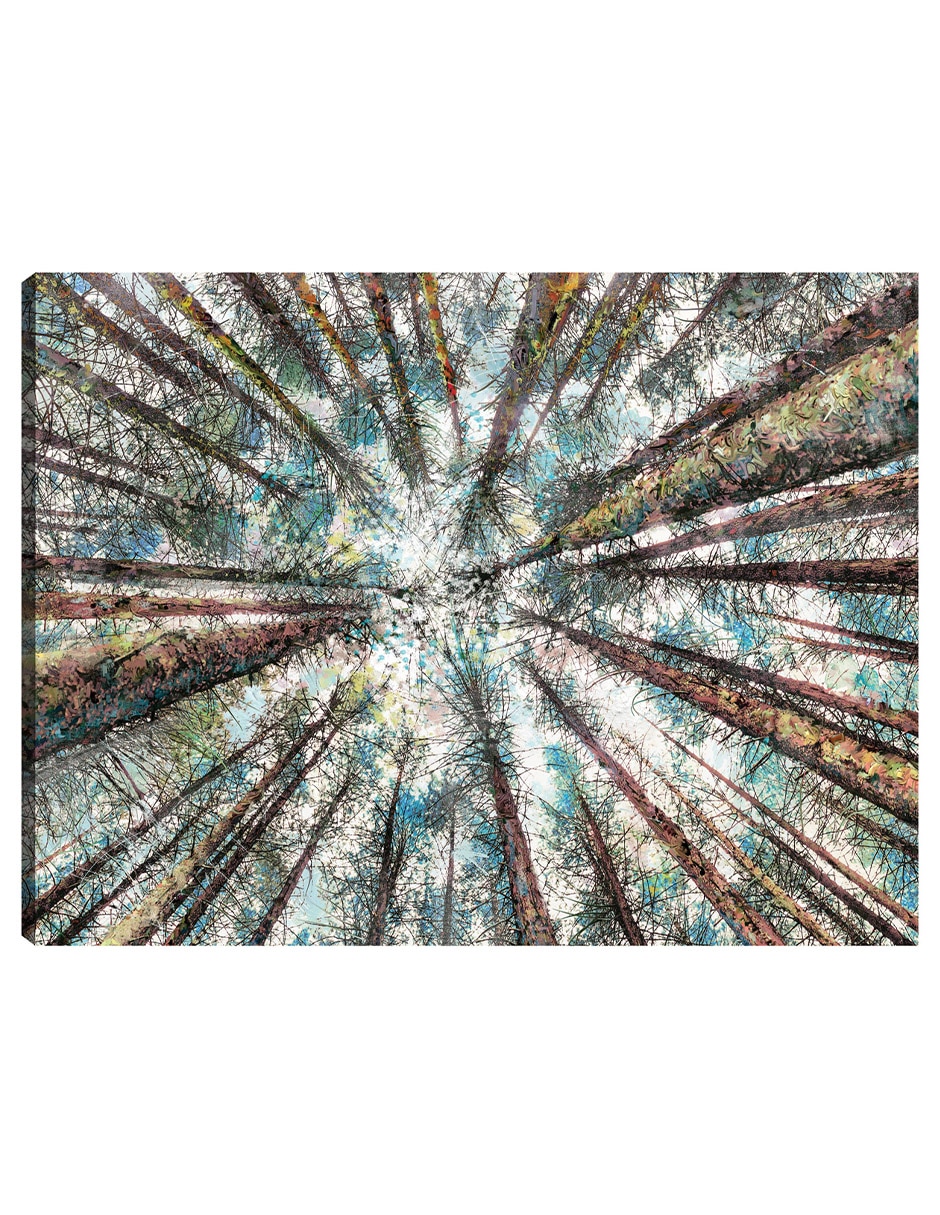 Cuadro decorativo Alturas de Primavera técnica mixta Bosques