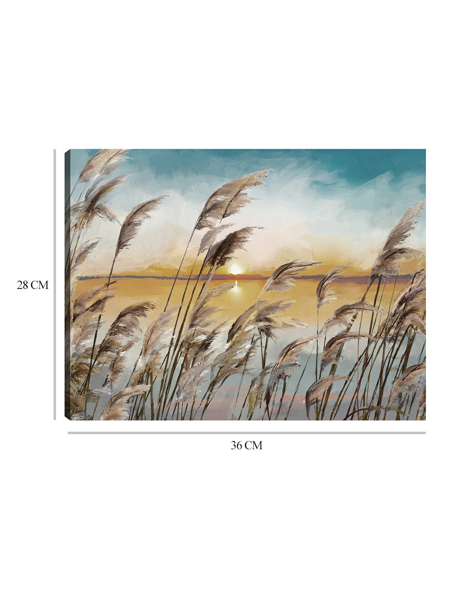 Cuadro decorativo Luz de cañas de la mañana técnica mixta Playas 2