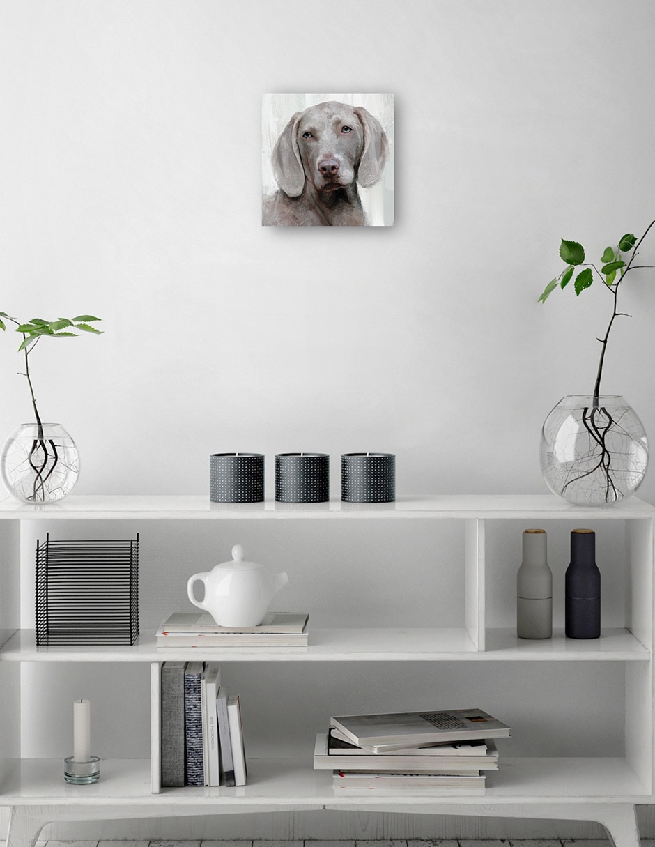 Cuadro decorativo Días de Perros IV técnica mixta Animales Domésticos 2