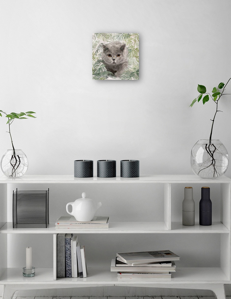 Cuadro decorativo Gatitos de la isla I técnica mixta Animales Domésticos 2