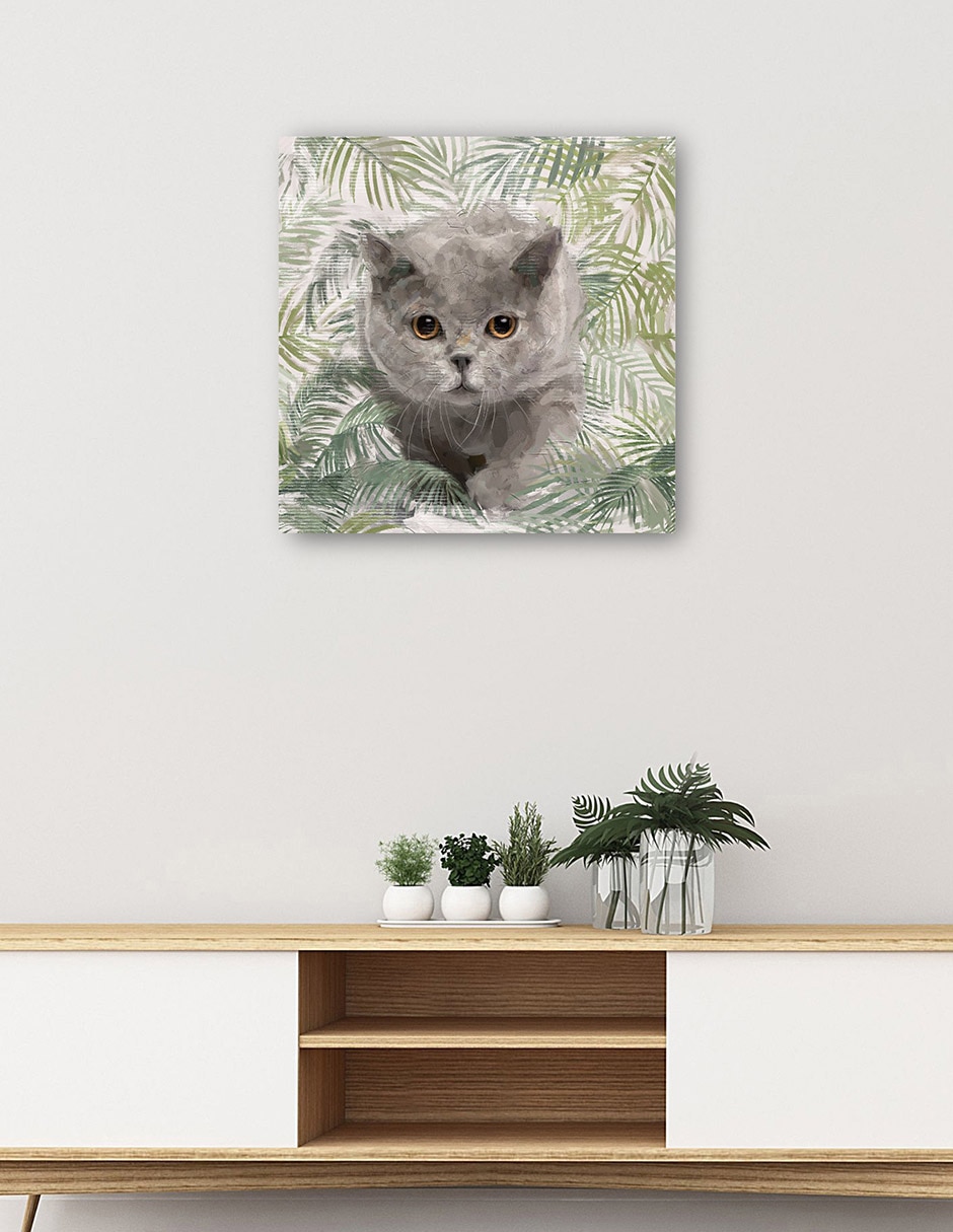 Cuadro decorativo Gatitos de la isla I técnica mixta Animales Domésticos 5