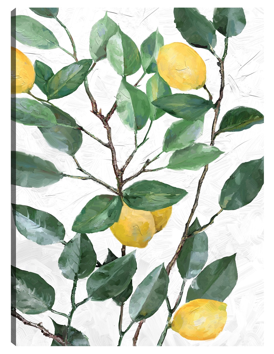 Cuadro decorativo Limonero técnica mixta Frutas