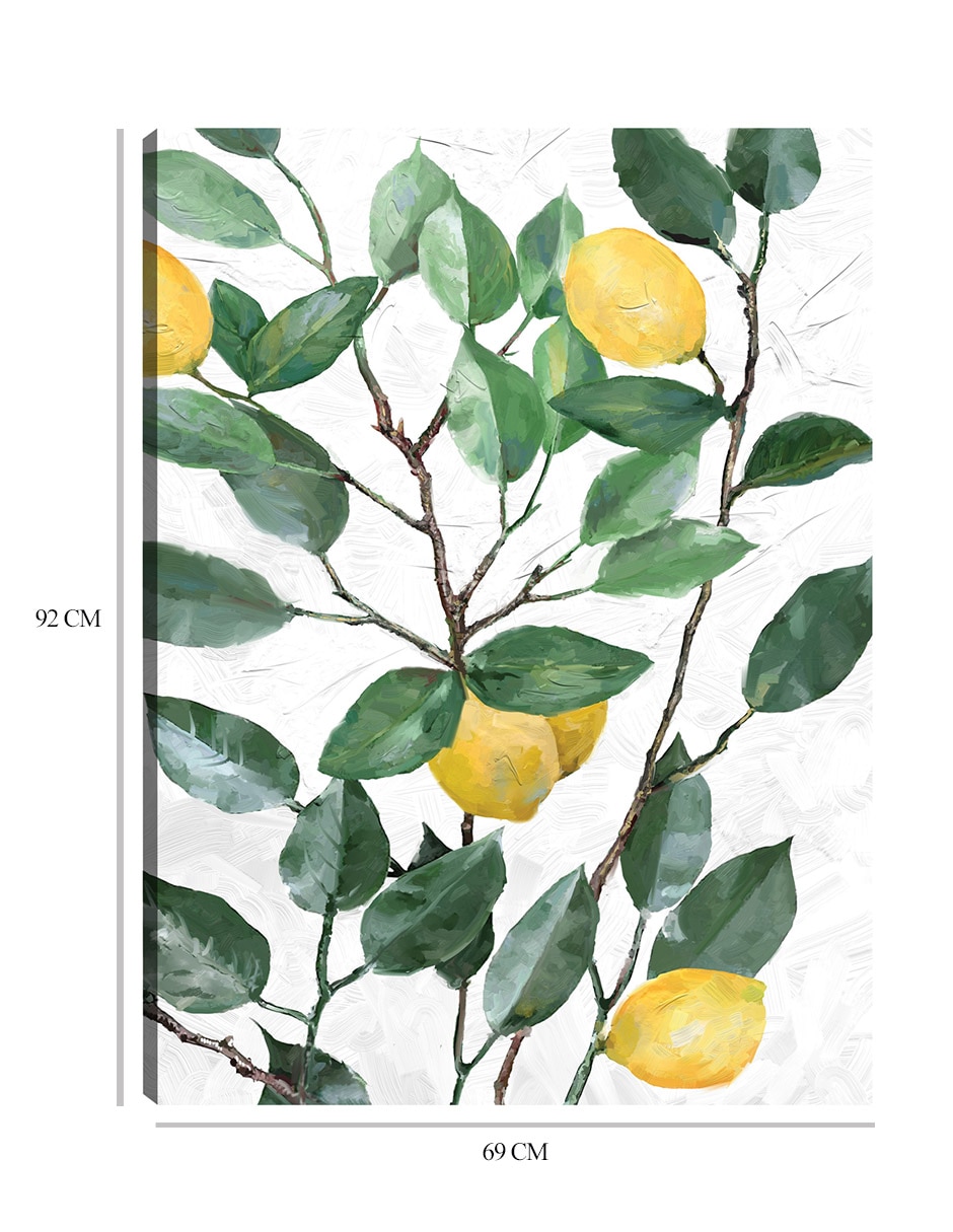 Cuadro decorativo Limonero técnica mixta Frutas 3