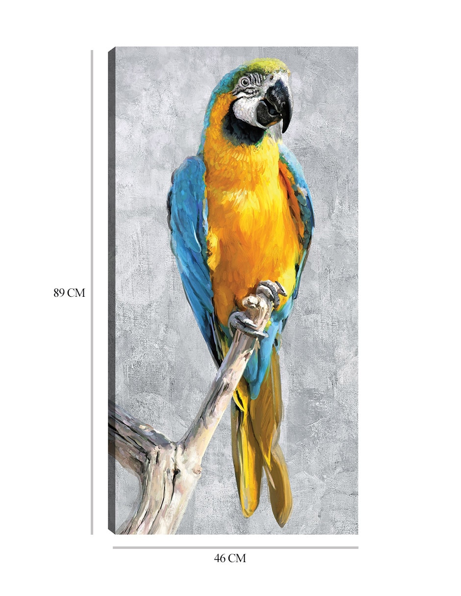 Cuadro decorativo Loros Tropicales I técnica mixta Aves Silvestres 2