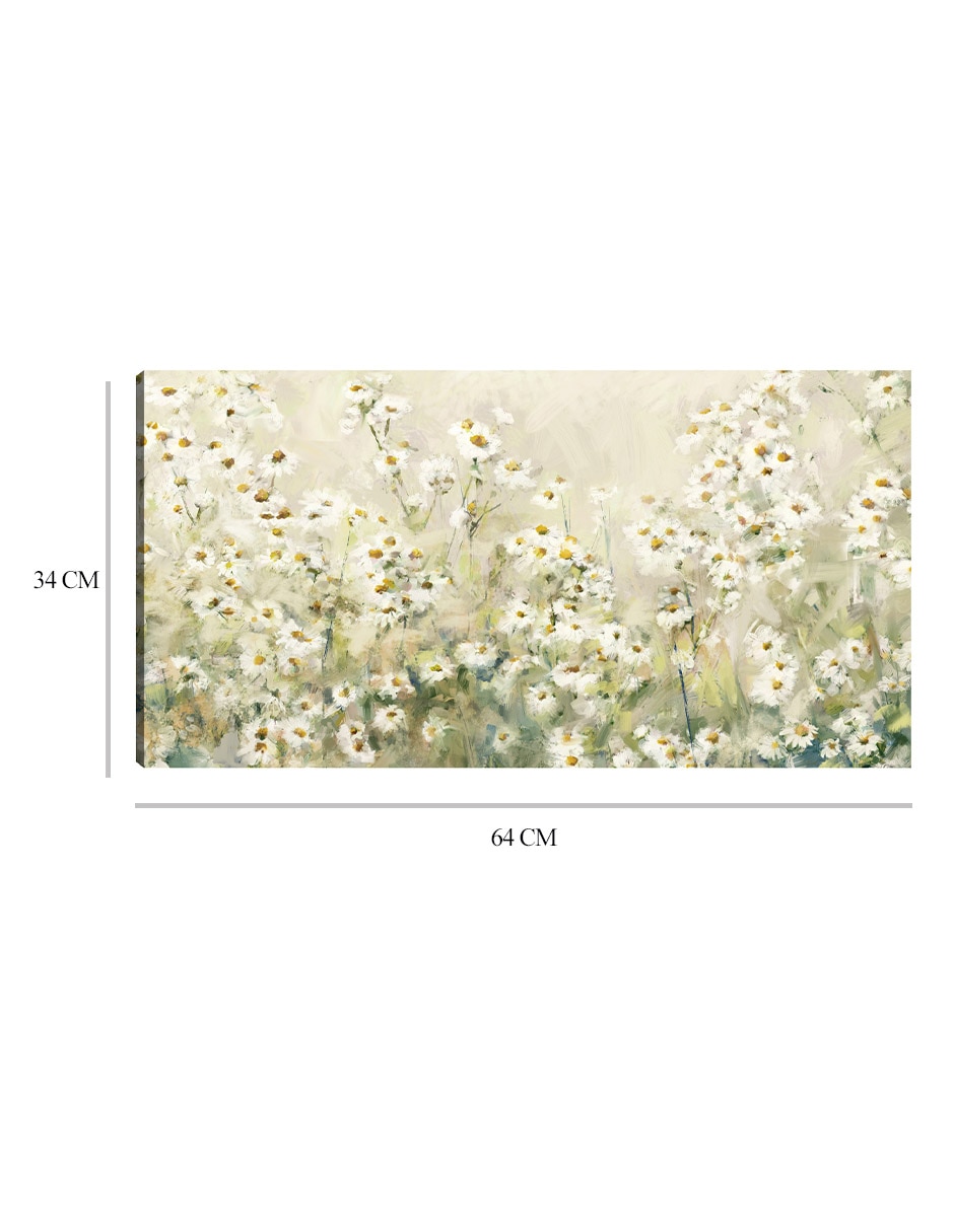 Cuadro decorativo Margaritas diurnas técnica mixta Primavera 2