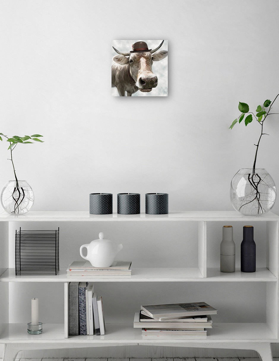 Cuadro decorativo Matón técnica mixta Animales Domésticos 2