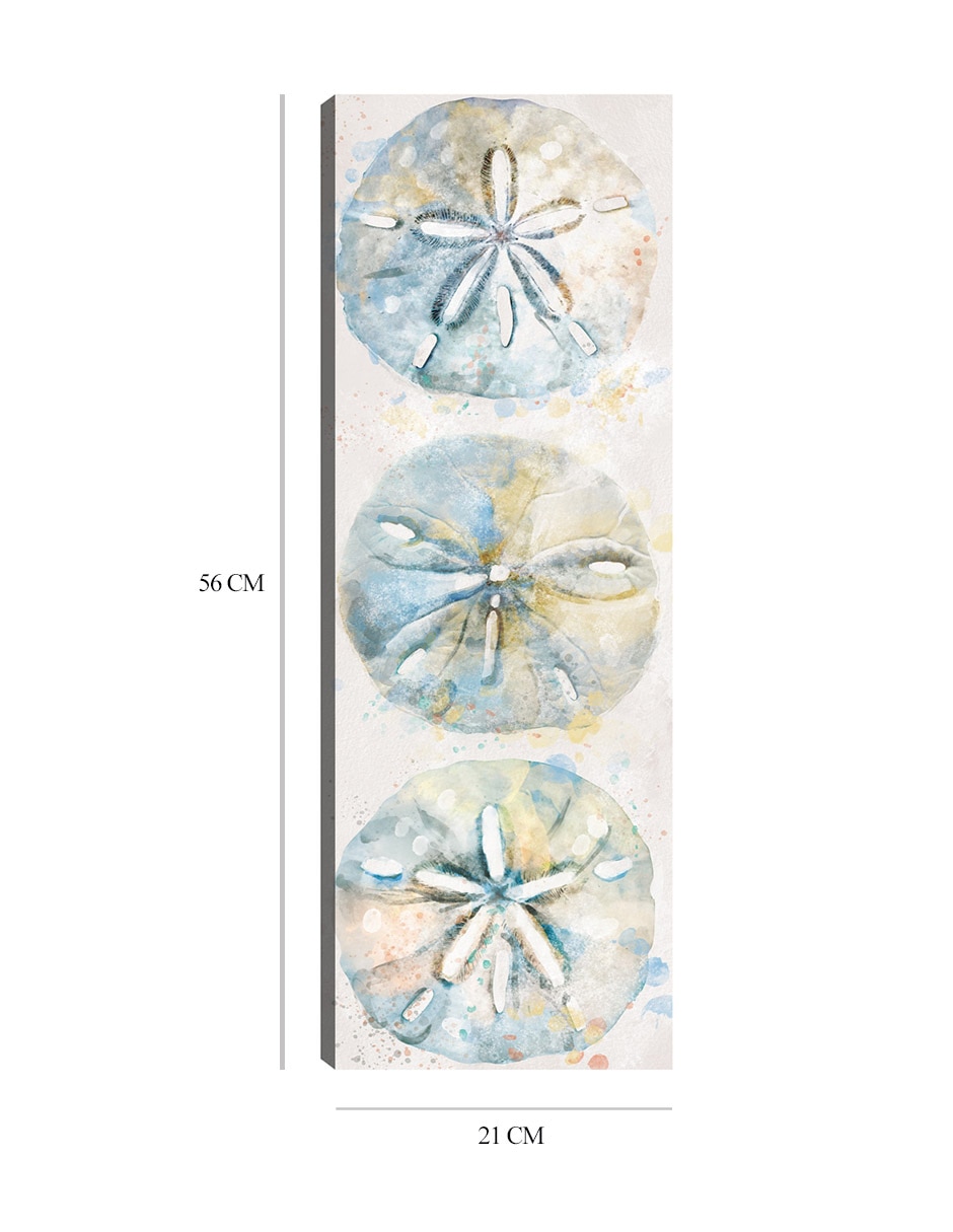 Cuadro decorativo Panel de concha II técnica mixta Animales Marinos 2