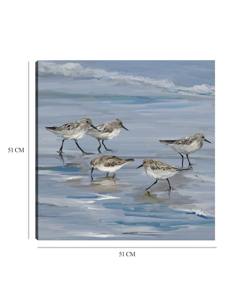 Cuadro decorativo Playa de la lavandera II técnica mixta Aves Silvestres 9