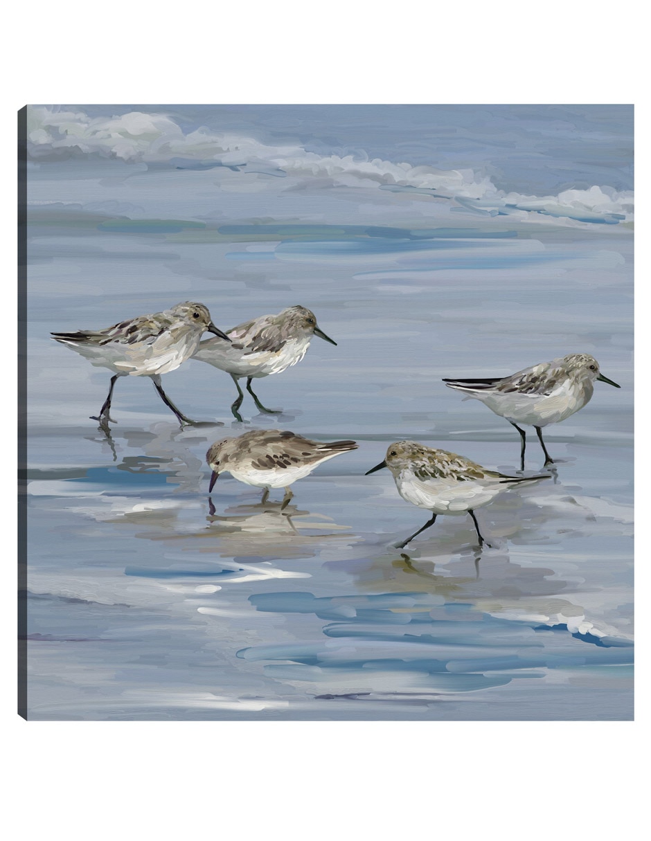 Cuadro decorativo Playa de la lavandera II técnica mixta Aves Silvestres