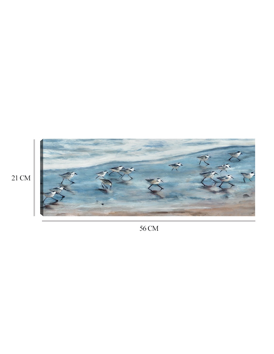 Cuadro decorativo Playeritos I técnica mixta Aves Silvestres 2