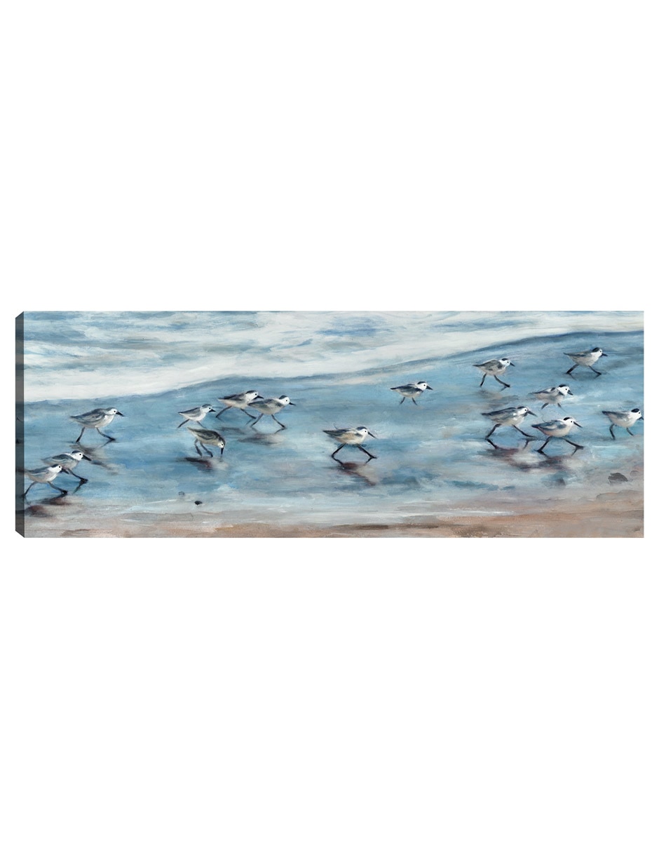 Cuadro decorativo Playeritos I técnica mixta Aves Silvestres