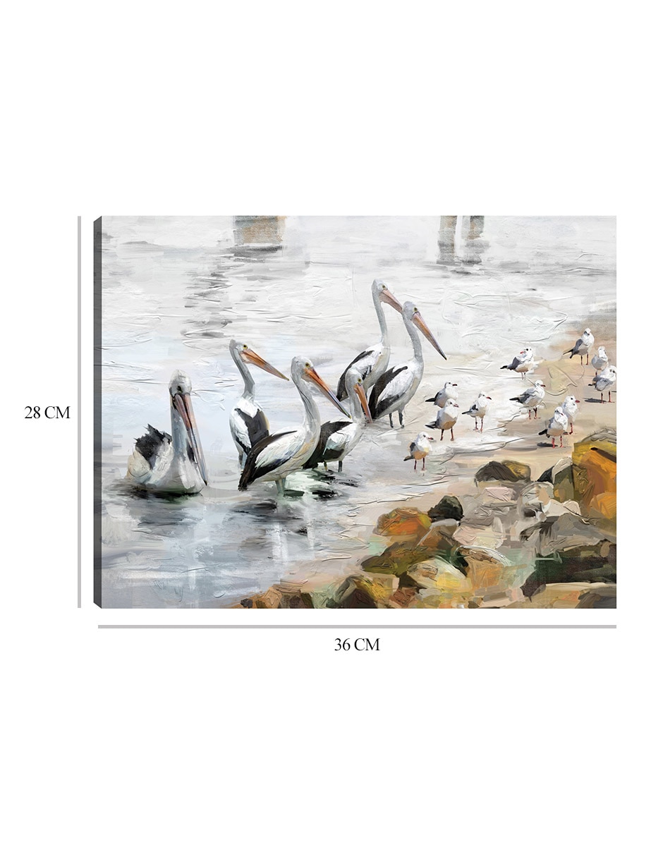 Cuadro decorativo Playa pelícano técnica mixta Aves Silvestres 2