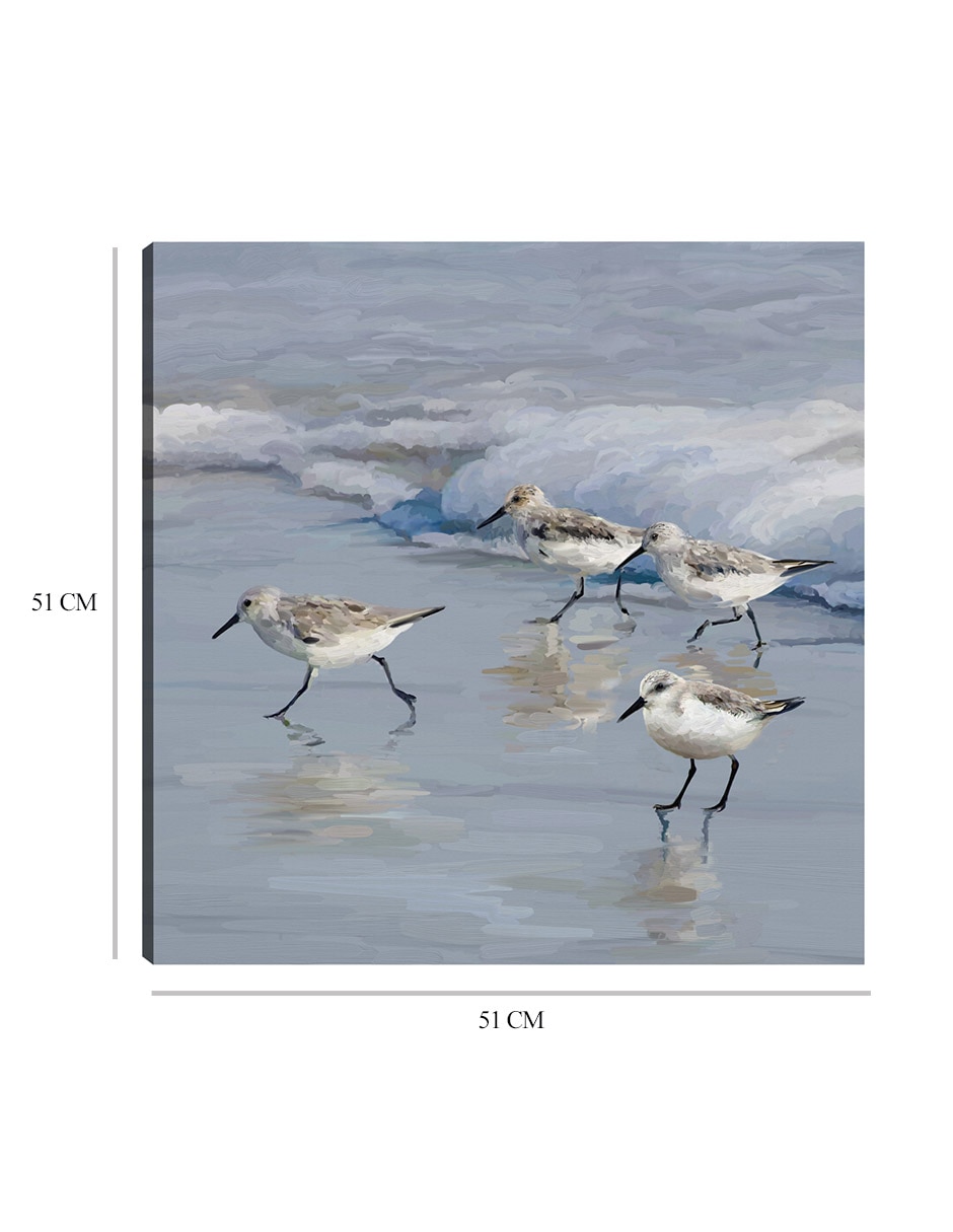 Cuadro decorativo Playa de la lavandera I técnica mixta Aves Silvestres 2