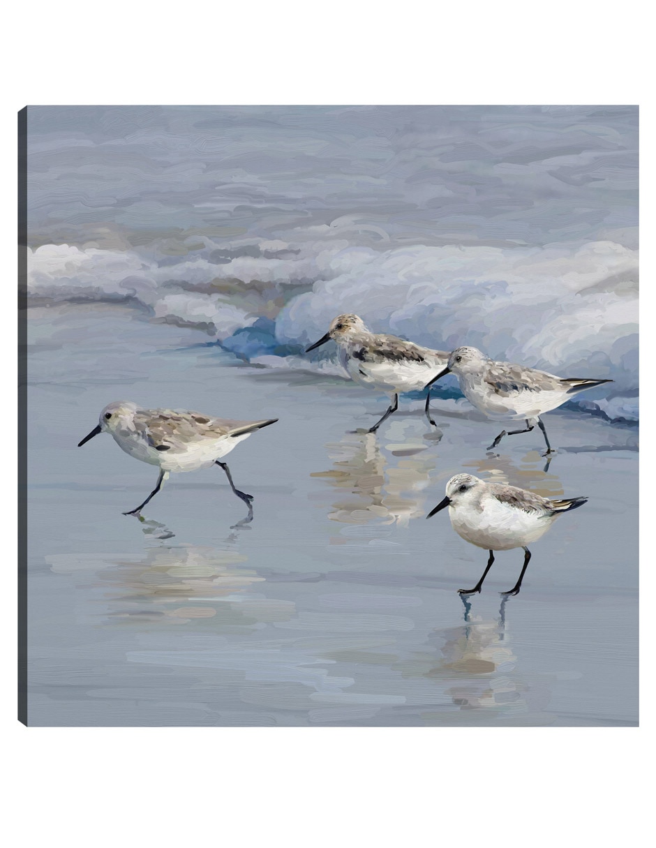 Cuadro decorativo Playa de la lavandera I técnica mixta Aves Silvestres