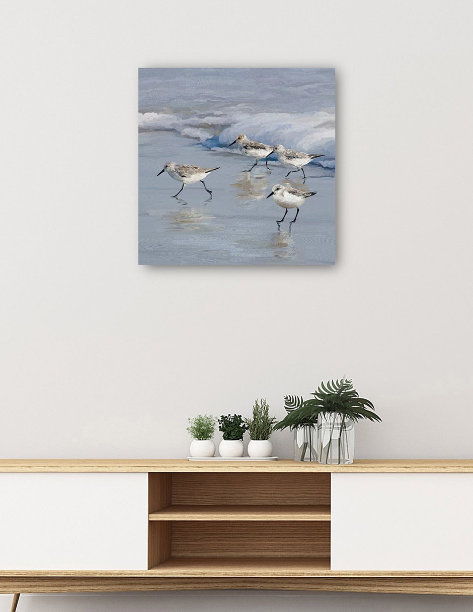 Cuadro decorativo Playa de la lavandera I técnica mixta Aves Silvestres 5