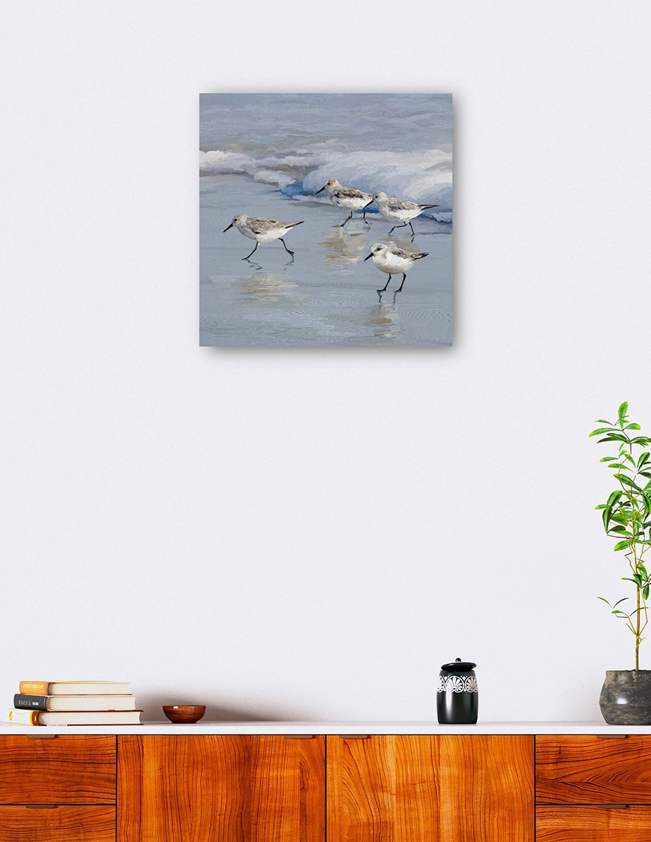 Cuadro decorativo Playa de la lavandera I técnica mixta Aves Silvestres 6