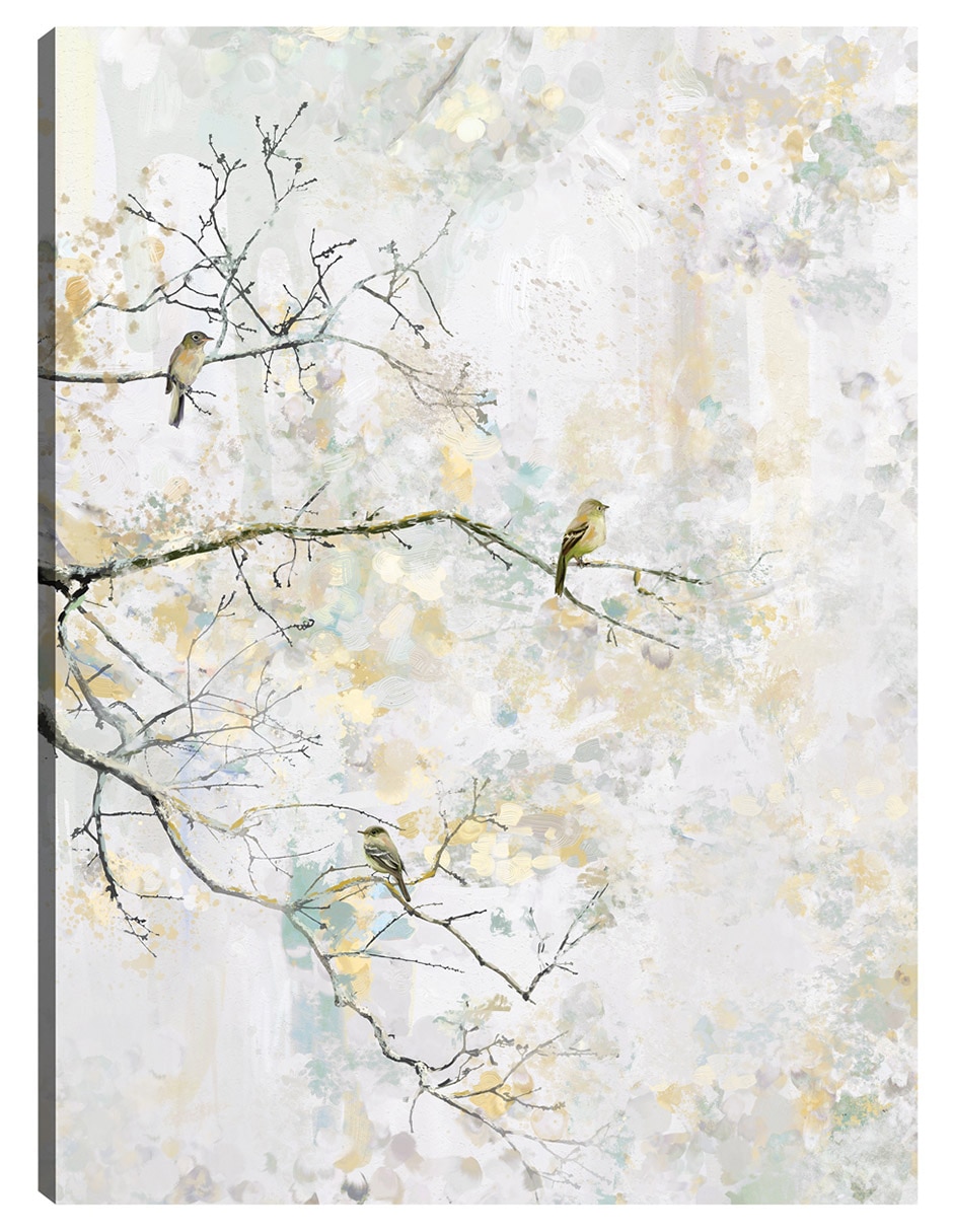 Cuadro decorativo Posado III técnica mixta Aves Silvestres