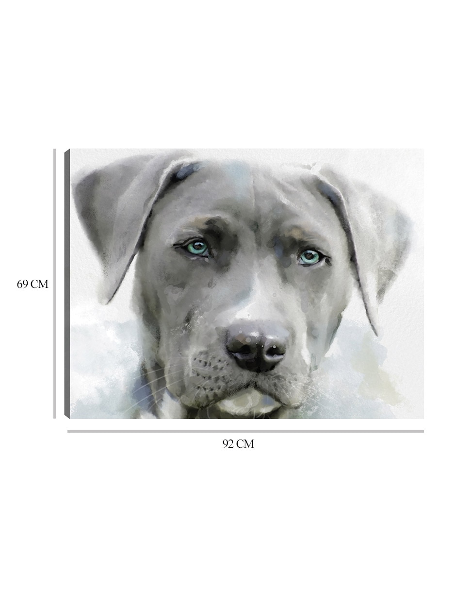 Cuadro decorativo Sabuesos de galería II técnica mixta Animales Domésticos 7