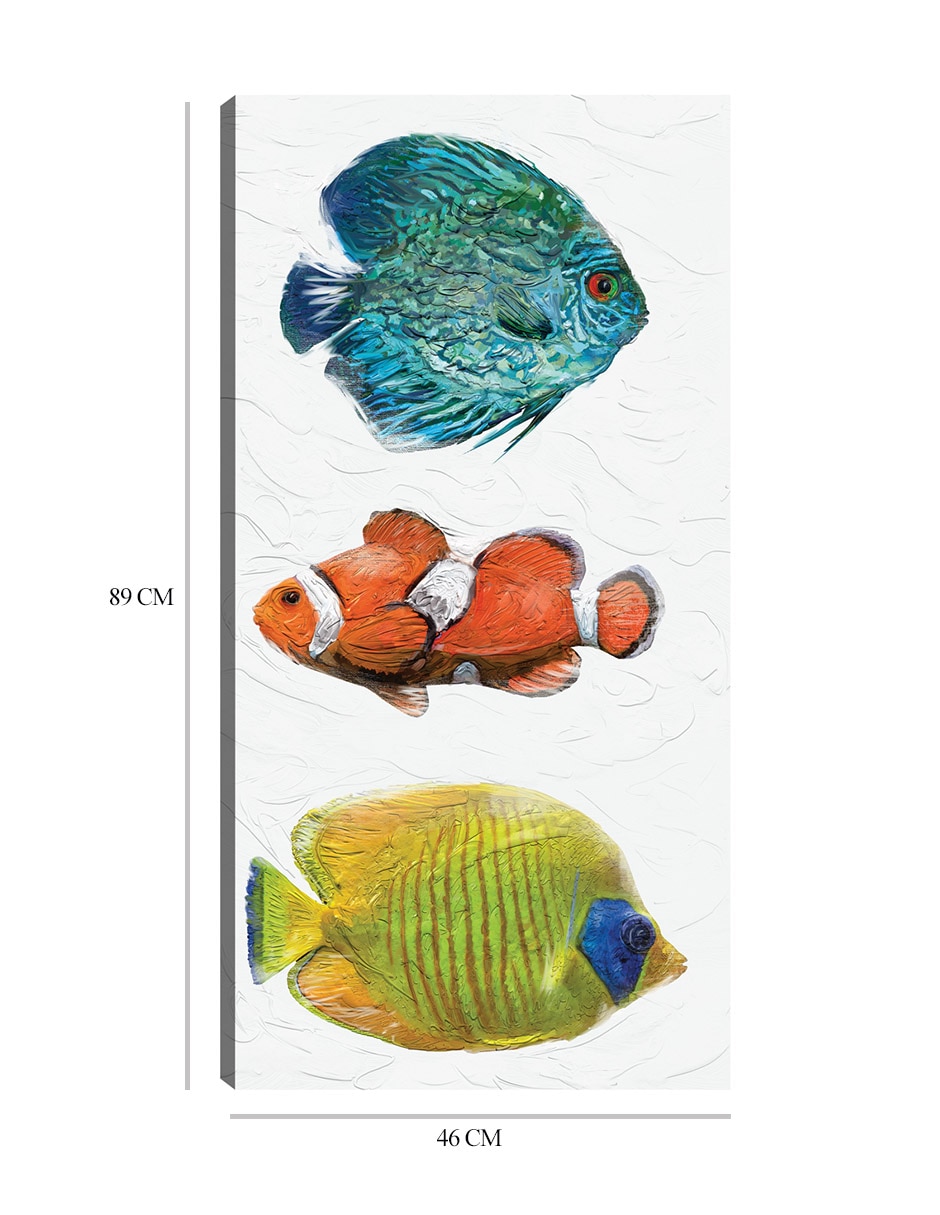 Cuadro decorativo Trío Tropical I técnica mixta Animales Marinos 2
