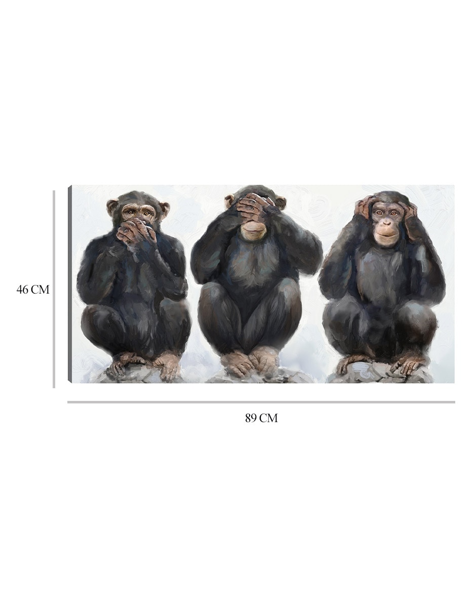 Cuadro decorativo Tres monos técnica mixta Naturaleza 2