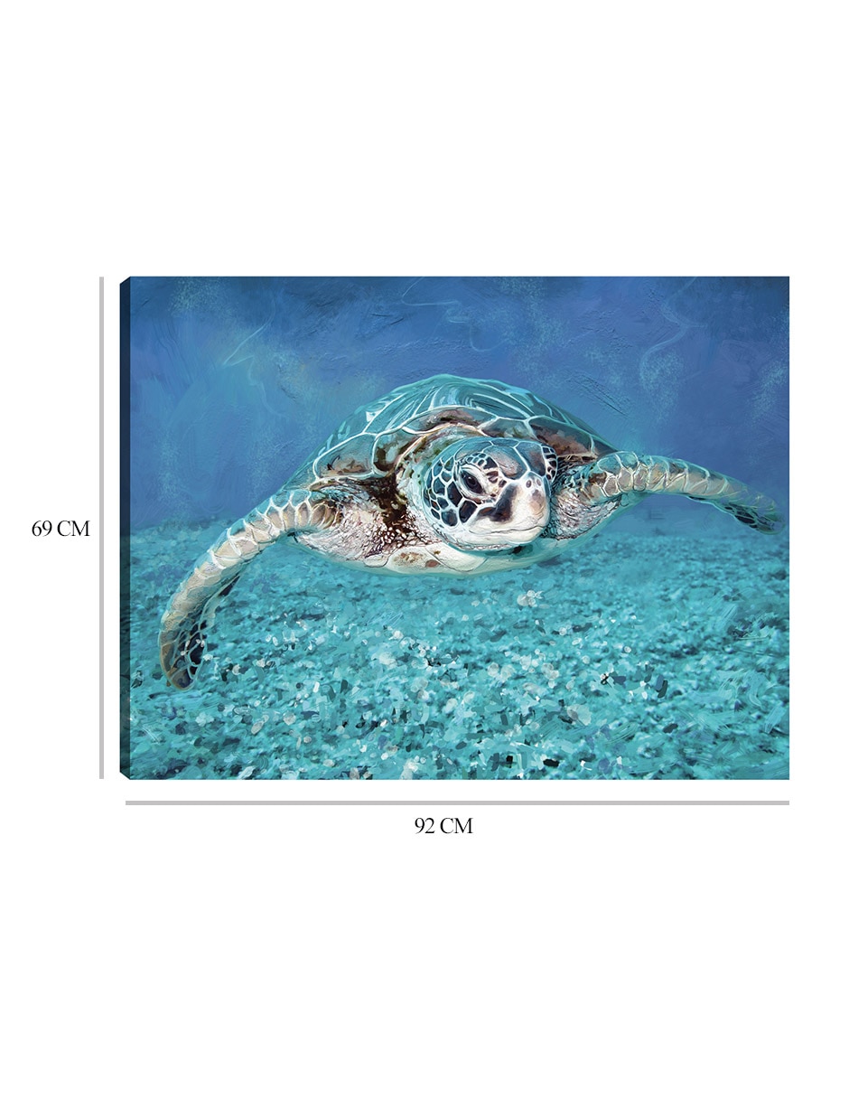 Cuadro decorativo Tortuga marina técnica mixta Animales Marinos 9